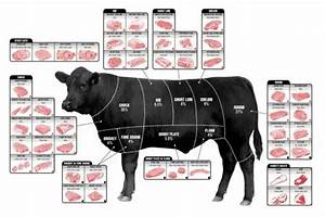 Beef Cuts Of Meat Butcher Chart Cattle Diagram Poster 27 Quot X40 Quot 29 98
