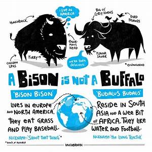 Buffalo Bison Seating Chart