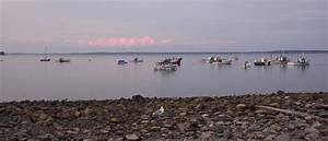 lincolnville ferry terminal maine state ferry service