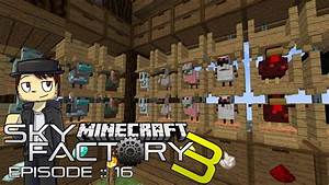 Sky Factory 3 Chicken Madness Episode 16 Minecraft Modded
