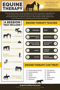 Graph What Is Equine Therapy Infographic Horses And Equine