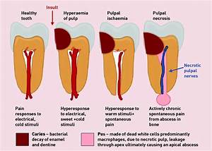 Understanding And Managing Dental And Orofacial In General