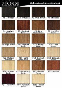Color Chart Hair Mooi Hair Extensions