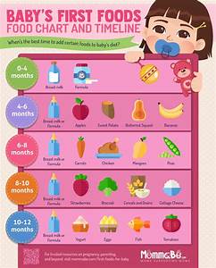 Baby Food Charts Timeline Infographic Best Infographics