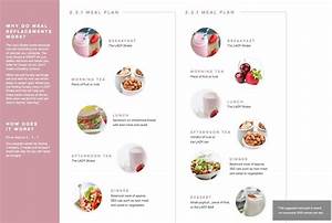 The Lady Shake Suggested Meal Plan The Lady Shake Meal Replacement
