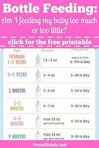 Bottle Feeding Am I Feeding My Baby Too Much Or Too Little