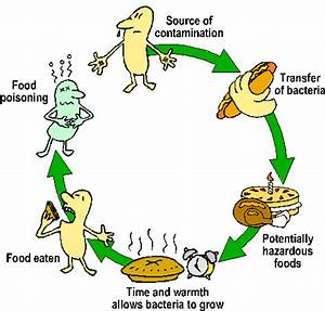 Food Spoilage And Food Contamination Food Spoilage Spoilage Character