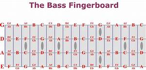Bass Fretboard Chart