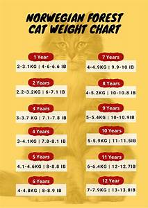Cat Weight Chart By Age Height In Kg Ibs