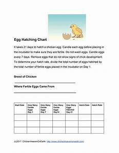 Printable Egg Hatching Chart