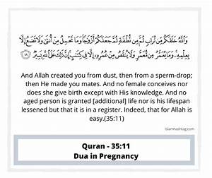Dua In Pregnancy With Free Pregnancy Duas Booklet Islam Hashtag Pray