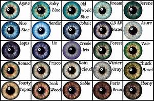 Eye Color Chart From Google Search Eye Color Chart Eye Color Blue
