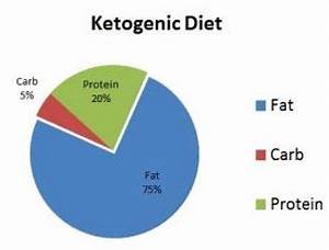 Low Carb Paleo Ketogenic And Atkins Diet Proponents Rip High Protein