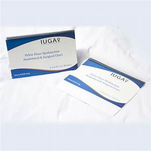 Pfd Anatomical Surgical Chart Iuga Store