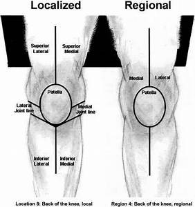 Knee Diagram Healthiack