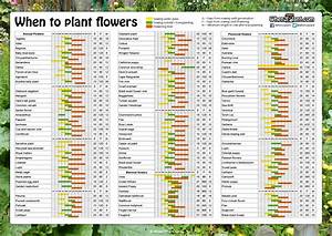 When To Plant Flowers Sowing Calendar Seeds Pots List 1 Annual