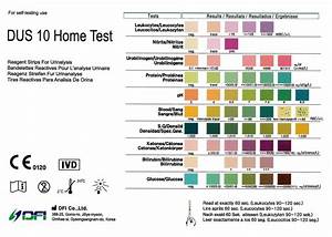 Urine Infection Test Strips Uti Cystitis Dipstick Testing Kit 5 Tests