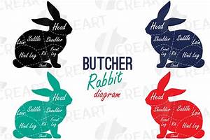 Butcher Rabbit Diagram Clip Printable Rabbit Chart Sites Unimi It
