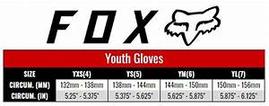 Fox 2020 Youth Dirtpaw Race Glove Gp Bikes