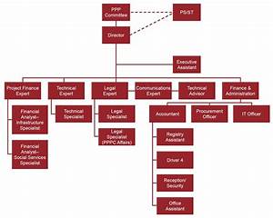 organizational structure public partnerships unit