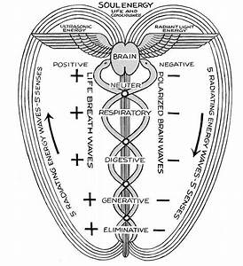 Metaphysical Diagrams Secret Energy Polarity Therapy Secret Energy