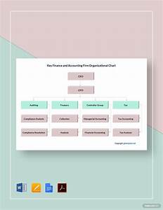 Free Accounting Firm Department Organizational Charts Template