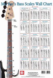 Bass Guitar Bridge 4 Strings Bass Guitar Kits Build Your Own Guitarist