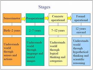 Piaget 39 S Cognitive Development Stages Development Theories