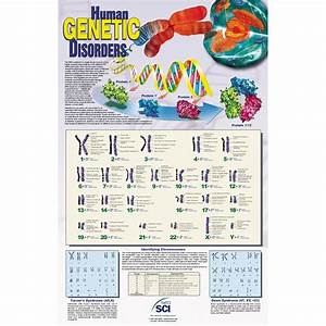 Human Genetic Disorders Chart Carolina Biological Supply