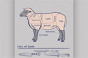 Sheep Cuts Of Meat Chart Lamb Cuts Cooking Methods For The Love