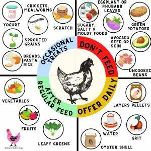 Chicken Feed Chart Backyard Chickens Mama