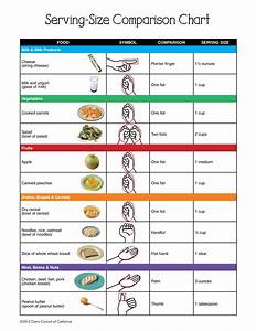 if you don 39 t have measuring cups or a scale estimate portions using