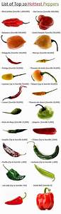 45 Best Chilli Chili Peppers Images On Pinterest Cooking Tips Info