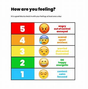 Emotion Rating Scale Sensationall