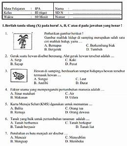 Download Soal PAS Kelas 3 Semester 1 Pendidikan di Indonesia