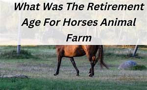 animal farm retirement plan
