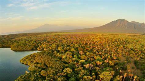 Taman Nasional Baluran Destinasi Wisata Indonesia yang Mendunia