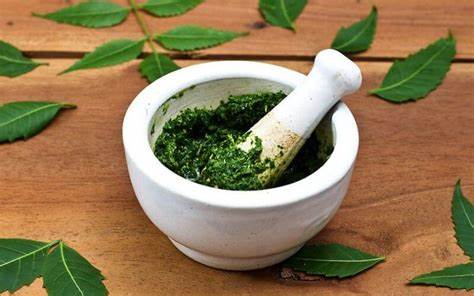 Neem Oil For Dandruff 7 Ways It Works