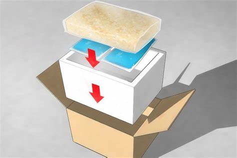Gửi hàng đông lạnh từ Huế đi Hà Nội nhanh rẻ