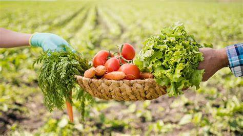 Sustainable Farming