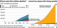 Coronavírus Charts