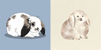 Cute Holland Lop Bunny Drawing