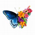 Beautiful Printable Butterflies and Flowers Watercolor