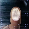 Biometric Fingerprint