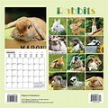 Bunny Calendar February