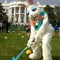 Bunny Hop Field Hockey