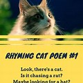 Cat Poems for Kids