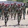 Central African Republic Army