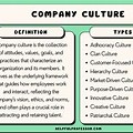 Culture. Examples