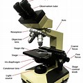 Microscope View